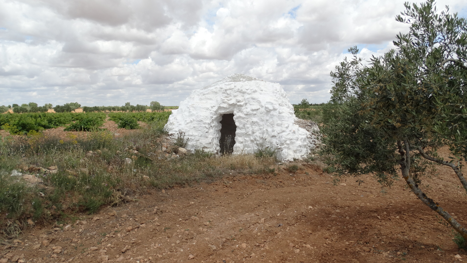 Chozo de pastores de La Sendilla en Mota del Cuervo