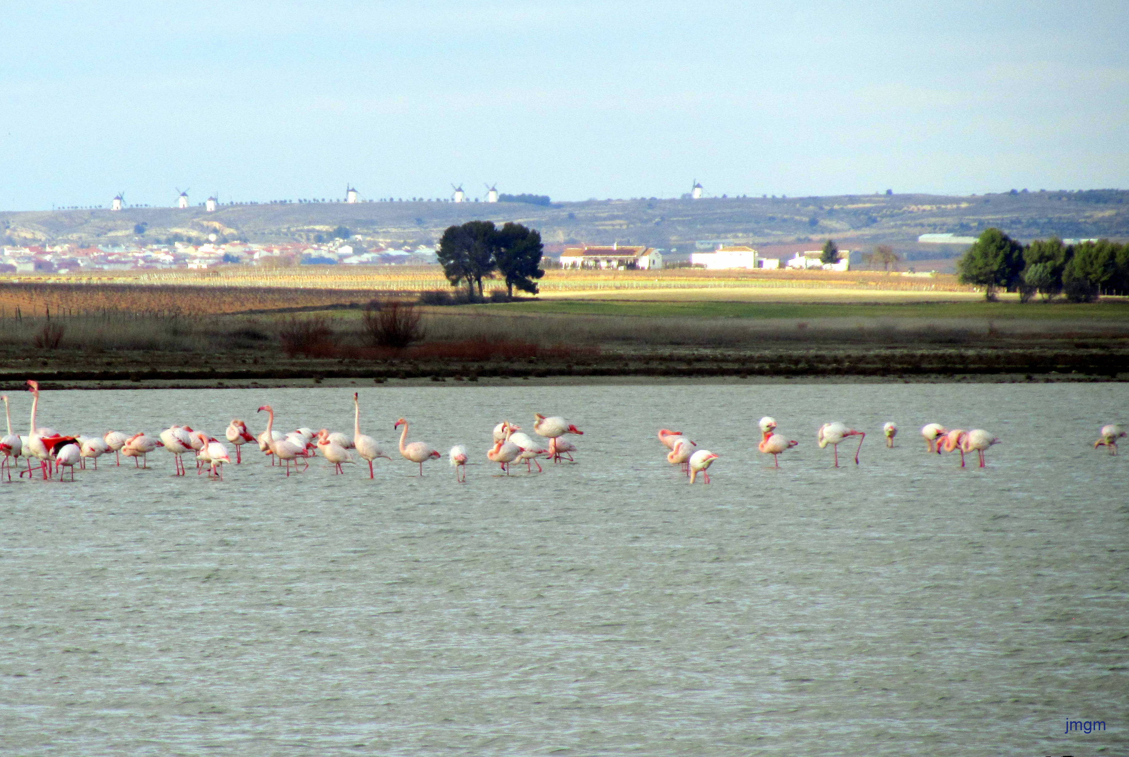Laguna de Manjavacas de Mota del Cuervo.