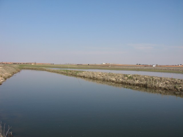 Río Záncara a su paso por el término de Mota del Cuervo