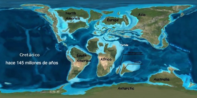 cretacico-hace-145-millones-de-anos