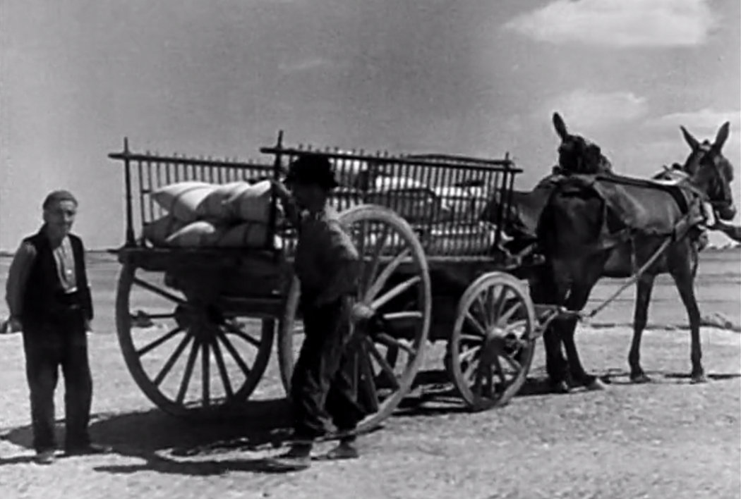 Galera con costales de trigo