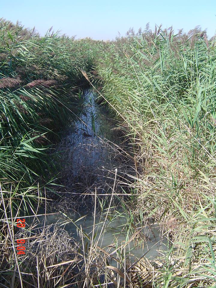 Acequia Madre (foto Cri Camps)