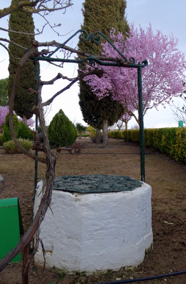 Pozo de Manjavacas 2.jpg