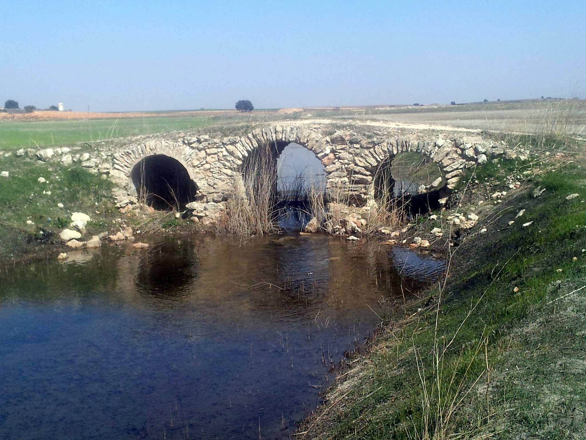 Puente Romano 1932654_10201814287947892_1231262634_o